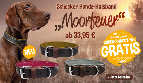 Halsbänder Schecker "Moorfeuer" + Gratis*-Snack "Super-Snacky-Mix" ab 39€
